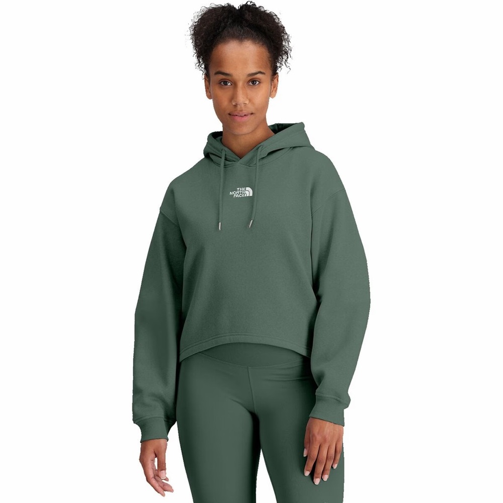 The North Face Evolution Hi Lo Hoodie